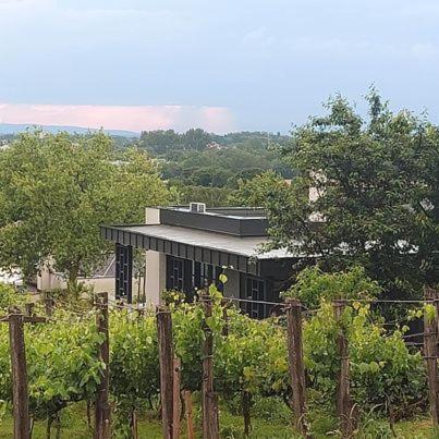 Terra Toscana Apartman Sárvár 외부 사진